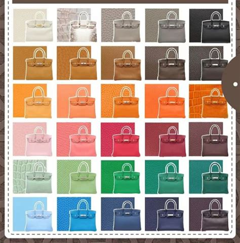 hermes birkin bag color chart|best hermes color for investment.